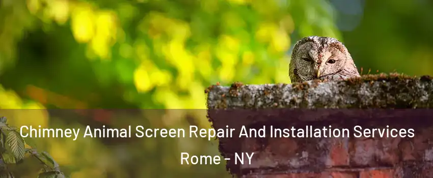  Chimney Animal Screen Repair And Installation Services Rome - NY