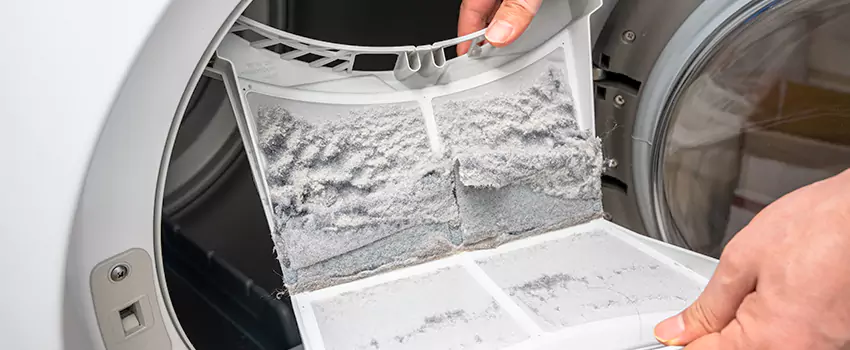 Best Dryer Lint Removal Company in Rome, New York