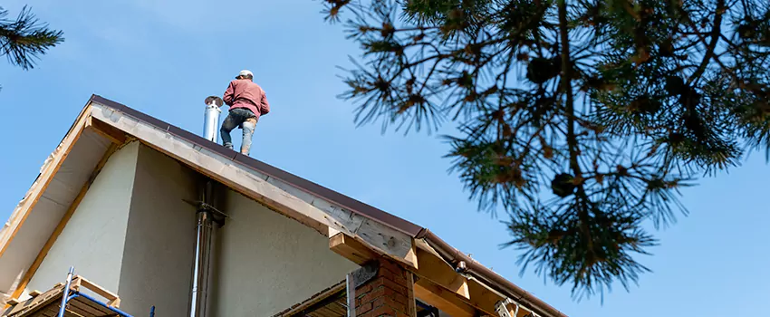 Birds Removal Contractors from Chimney in Rome, NY